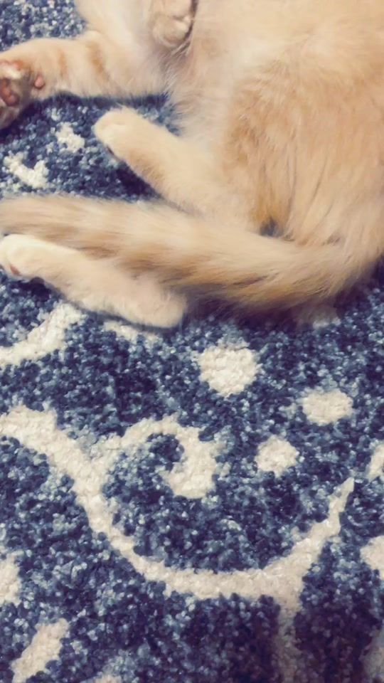 TikTok video thumbnail by apollo_bc