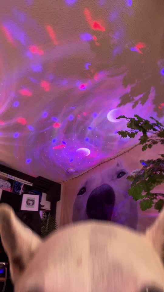 TikTok video thumbnail by mistermainer