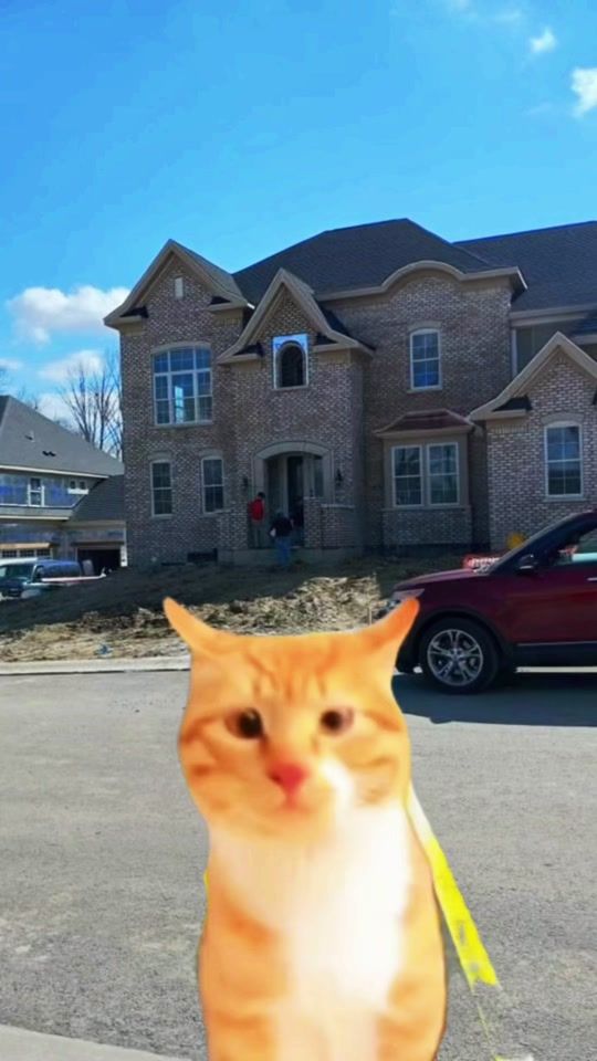 TikTok video thumbnail by cheryrojo69