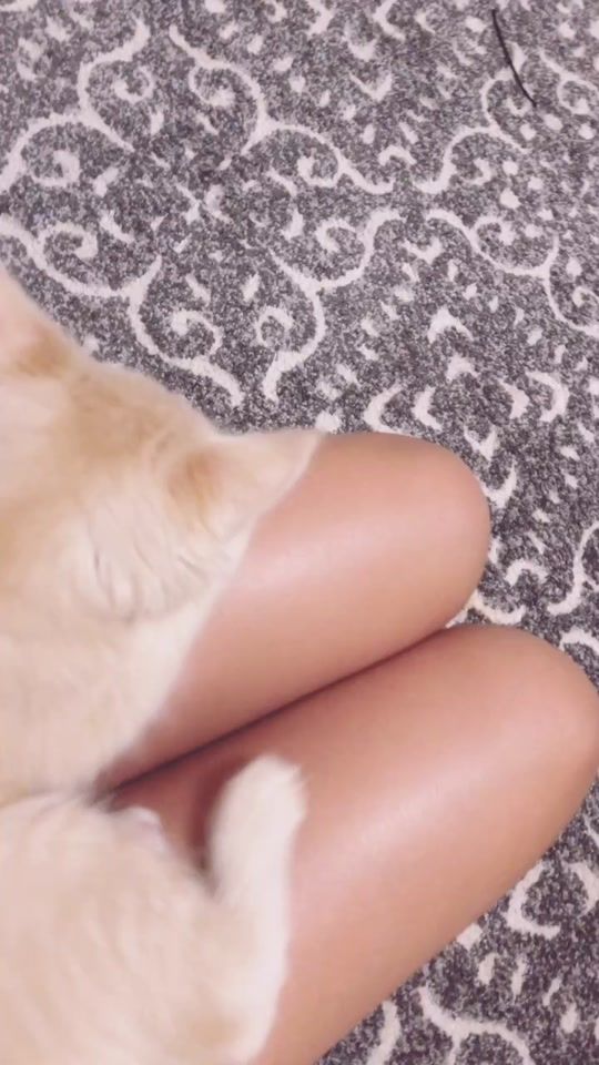 TikTok video thumbnail by apollo_bc