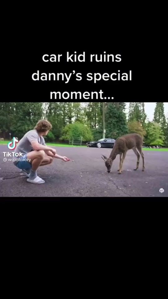 TikTok video thumbnail by squidris