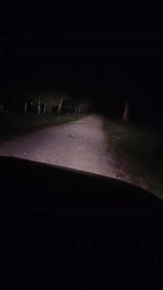 TikTok video thumbnail by rickys_backup