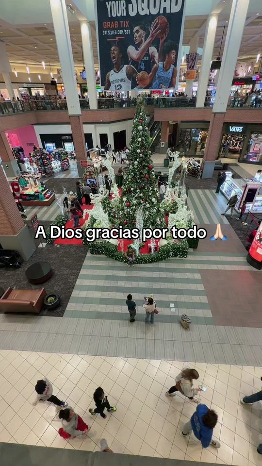 TikTok video thumbnail by isamarserrano.22