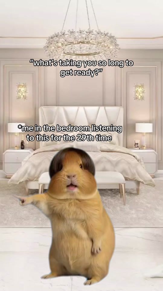 TikTok video thumbnail by cmxr3