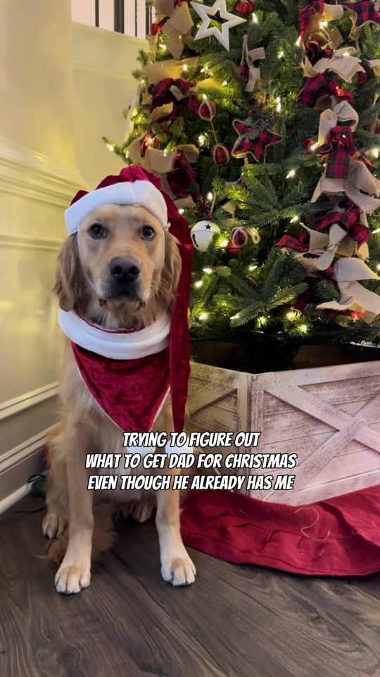 TikTok video thumbnail by jaspergoldennugget