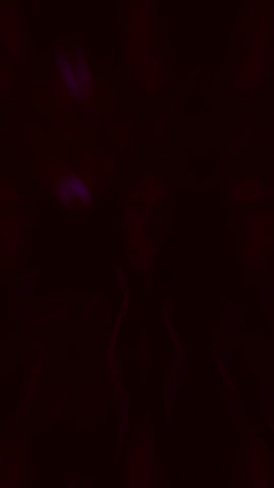 TikTok video thumbnail by morenitafernandez0