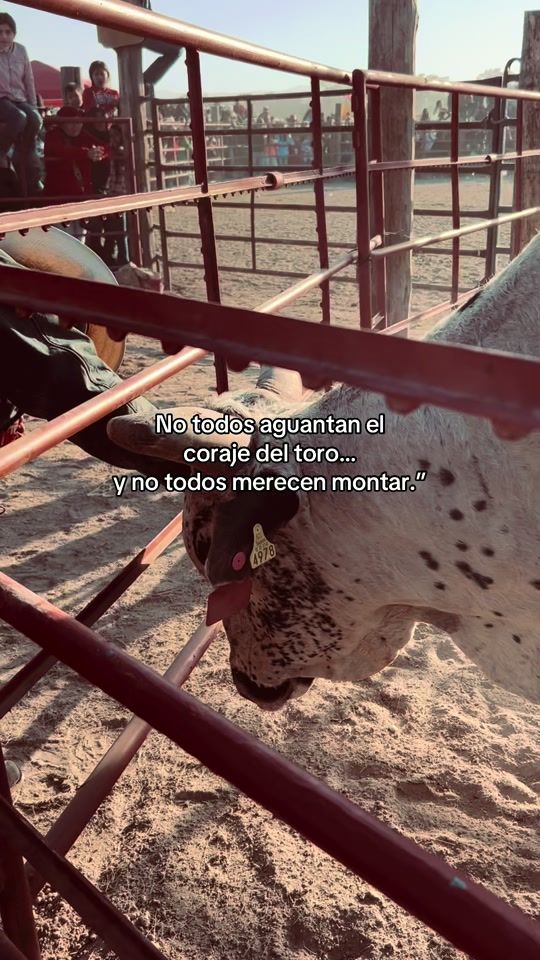 TikTok video thumbnail by jerrymc100