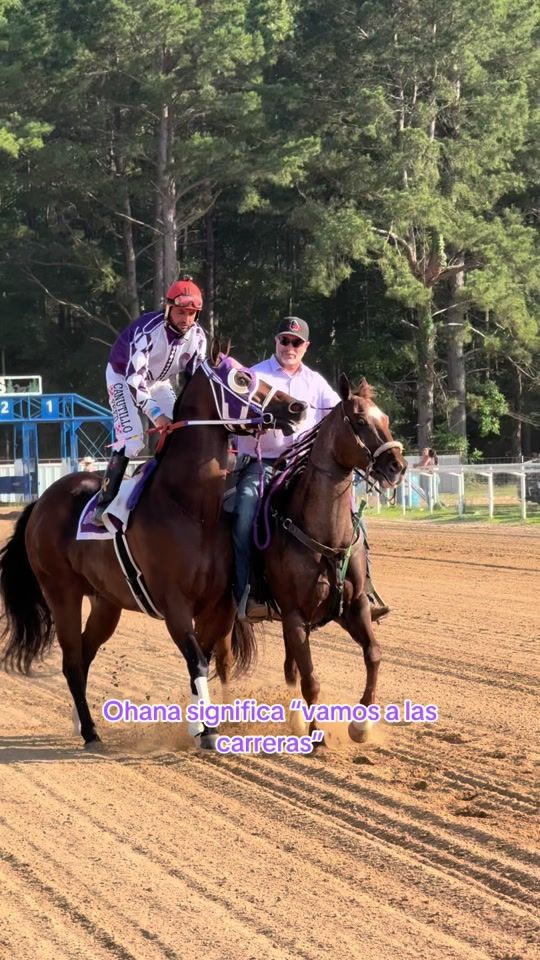 TikTok video thumbnail by hiles_ortiz