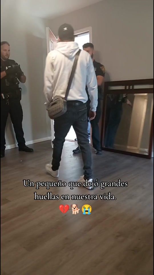 TikTok video thumbnail by gfmu2406