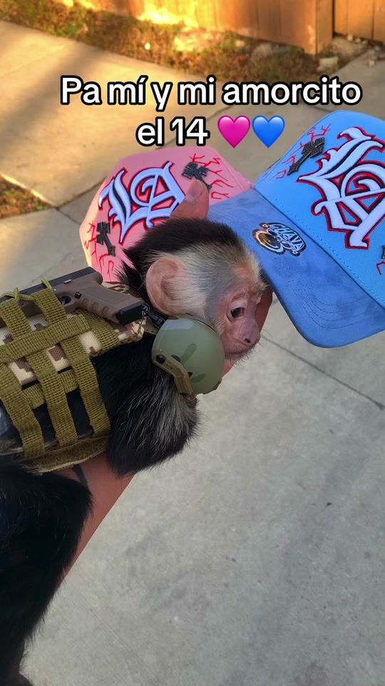 TikTok video thumbnail by chavahats