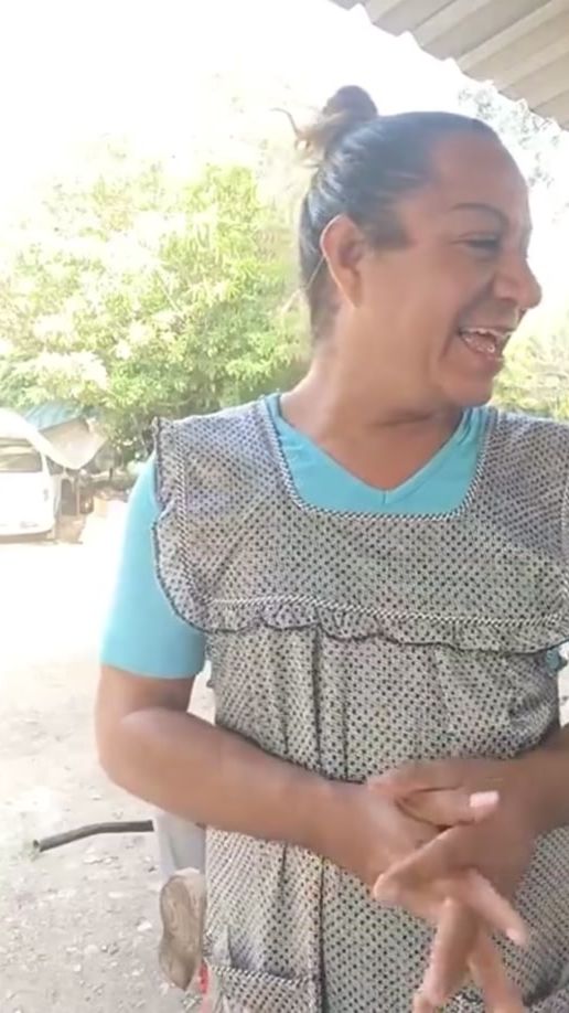 TikTok video thumbnail by bolioconcafe