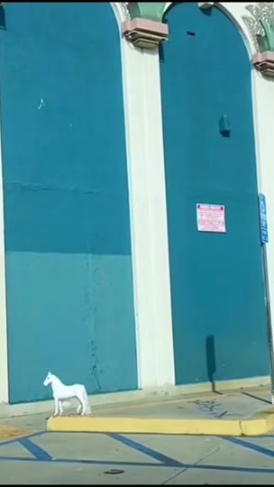TikTok video thumbnail by a_t_t_i_e