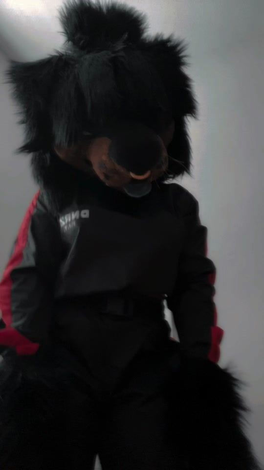 TikTok video thumbnail by mastiff_runaway