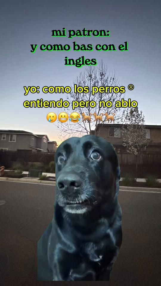 TikTok video thumbnail by walterv660