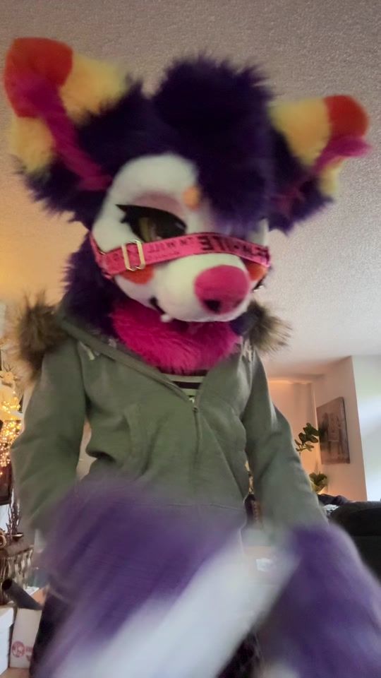 TikTok video thumbnail by bugemutt