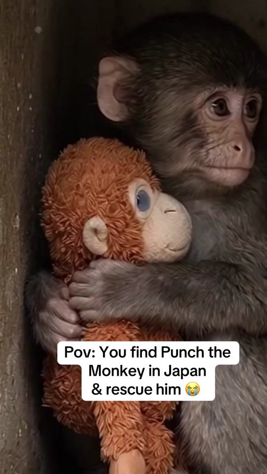 TikTok video thumbnail by anxiety_doll
