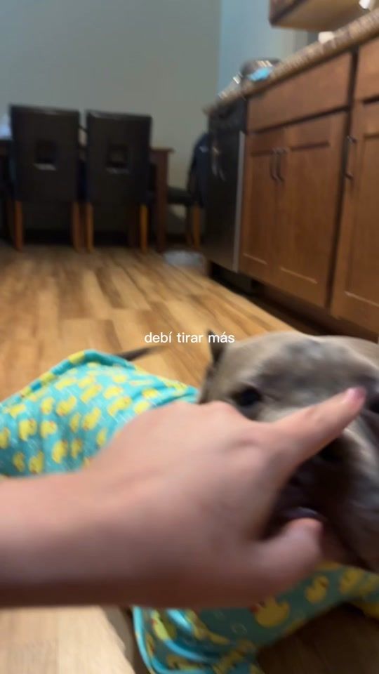TikTok video thumbnail by msreposado