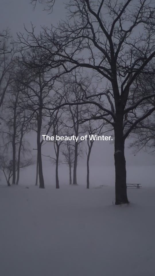 TikTok video thumbnail by mysticsgrove