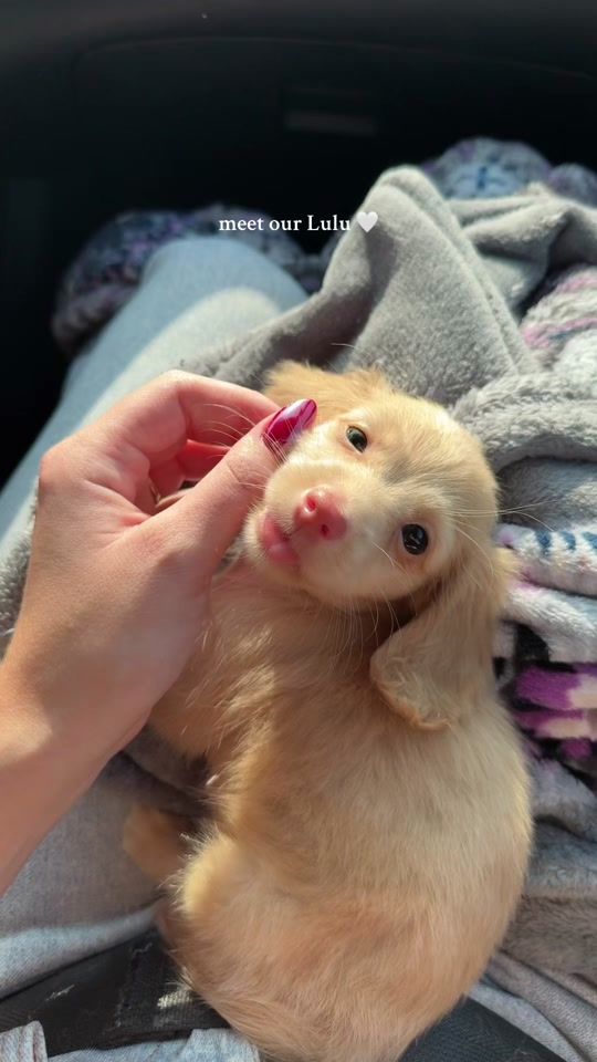 TikTok video thumbnail by tmaefoster