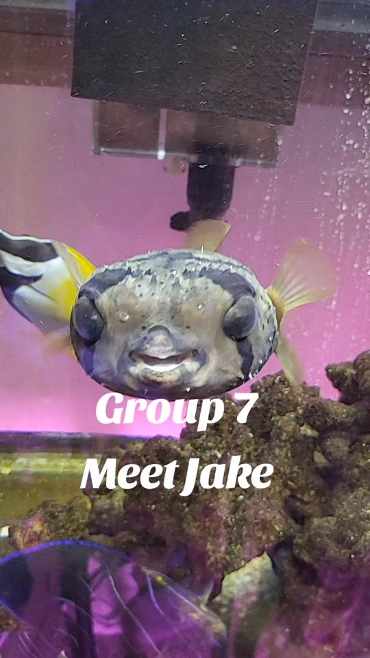 TikTok video thumbnail by brittanysreef