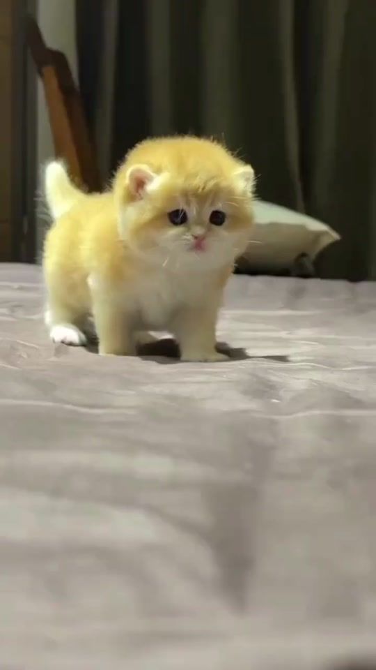 TikTok video thumbnail by tradewithzeeshan0