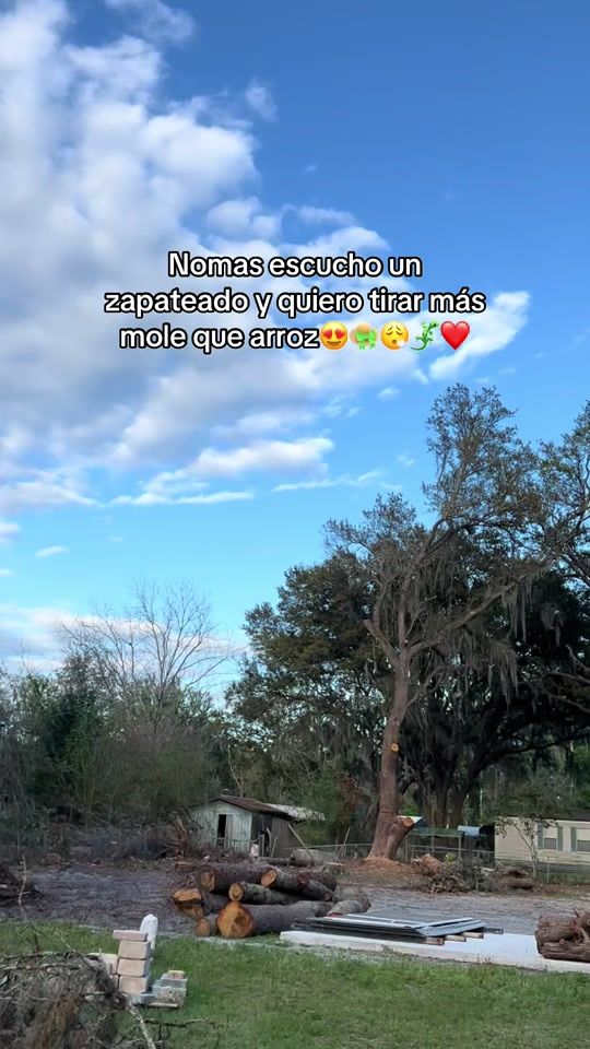 TikTok video thumbnail by doranelli_211