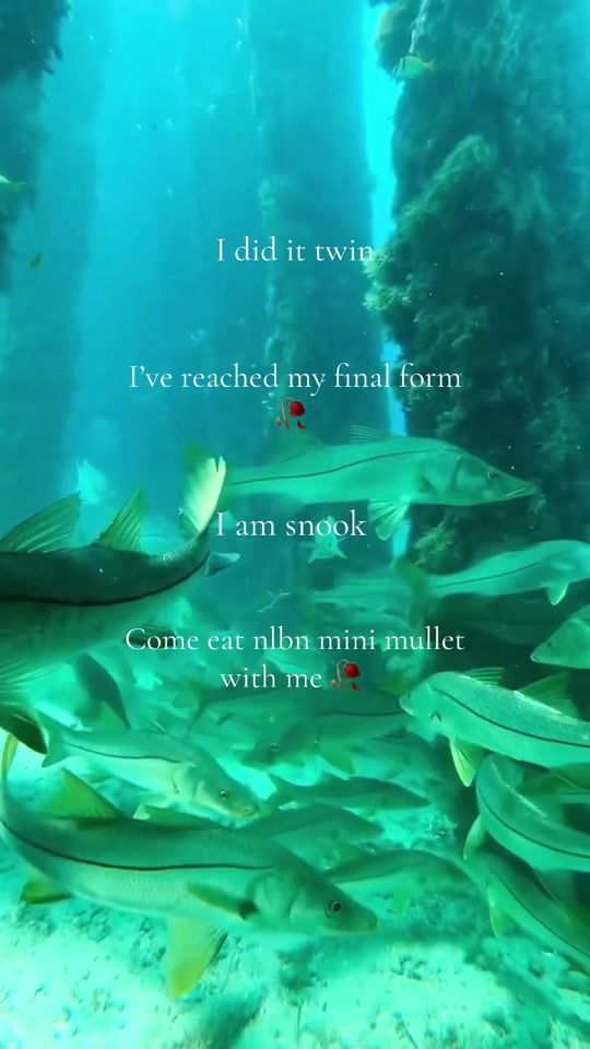 TikTok video thumbnail by cursedfishing