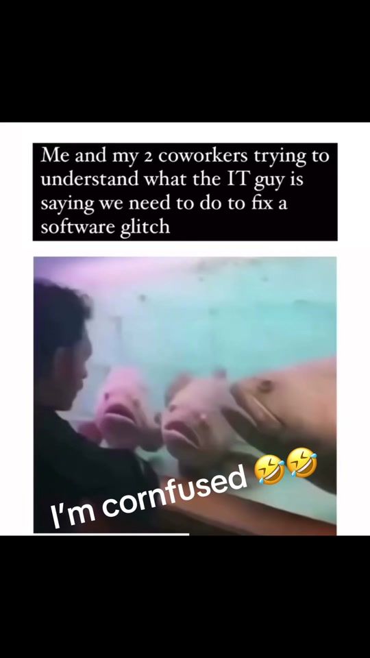 TikTok video thumbnail by pawpaw_cherry73