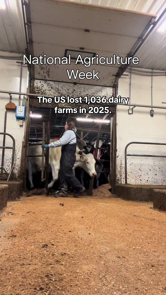 TikTok video thumbnail by miranda.neville