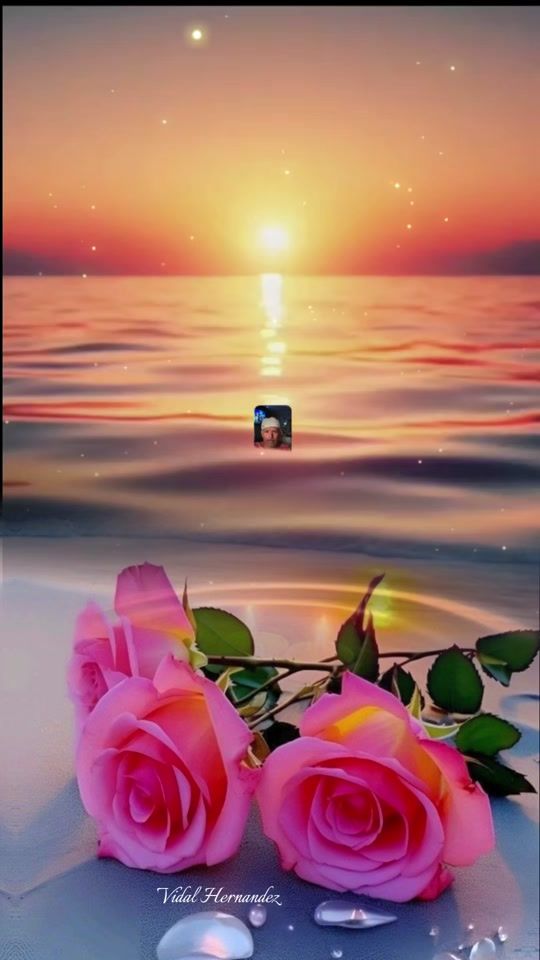 TikTok video thumbnail by musicaromanticaelguero