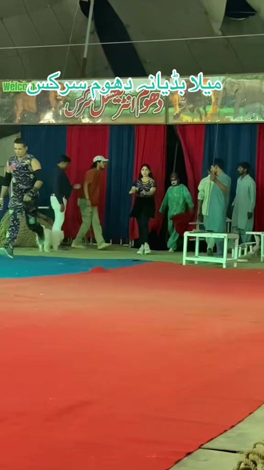 TikTok video thumbnail by mughal.circus.wala