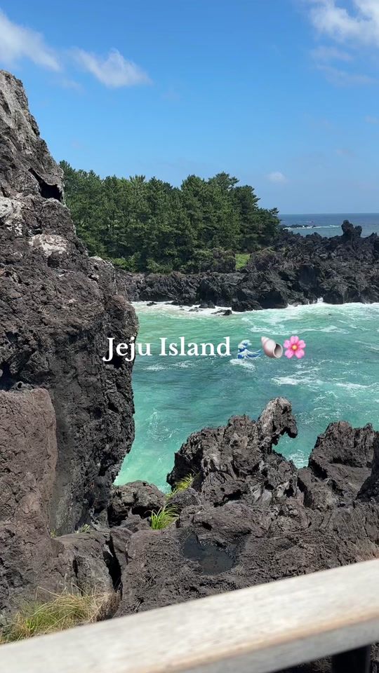 TikTok video thumbnail by jocellyncr