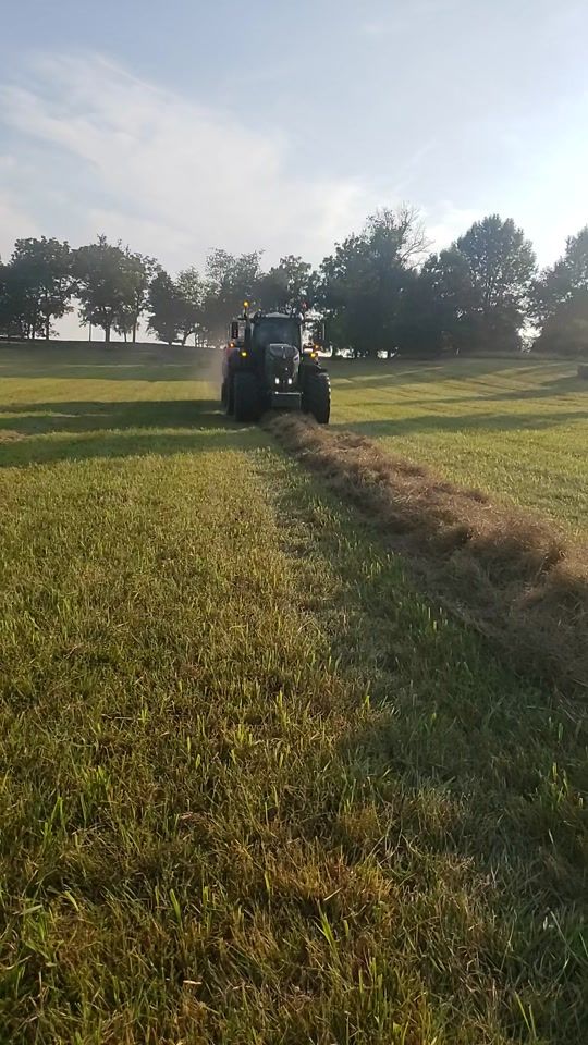 TikTok video thumbnail by muffin0021