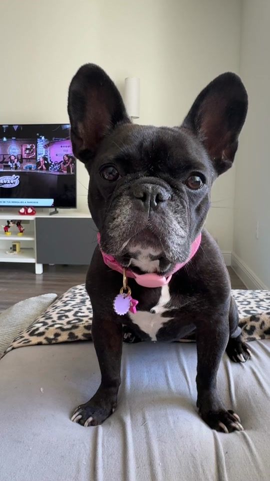 TikTok video thumbnail by belensironi