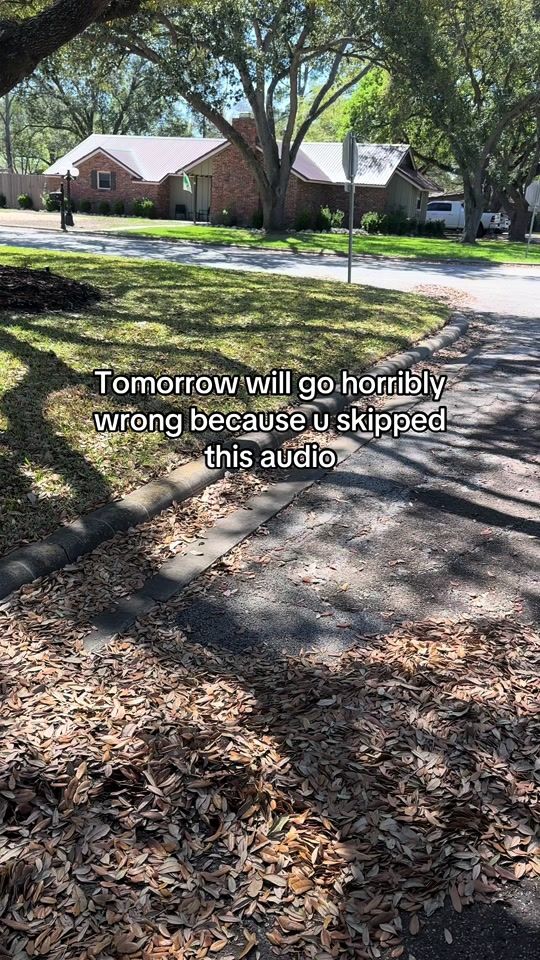 TikTok video thumbnail by bvbyjunior_