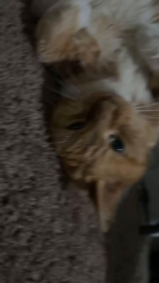 TikTok video thumbnail by imbadwith.usernames