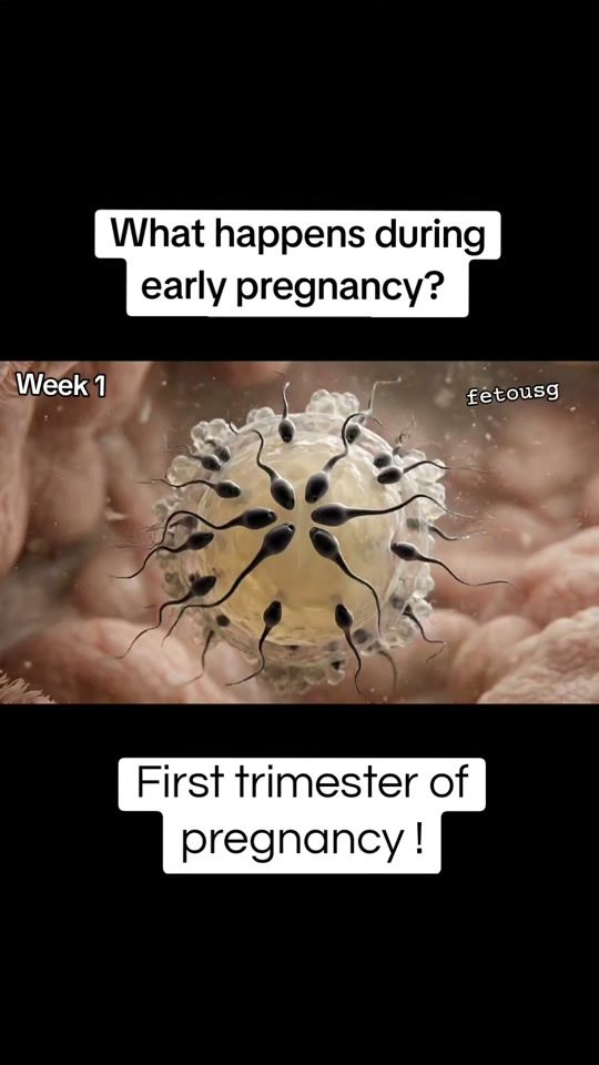 TikTok video thumbnail by fetousg