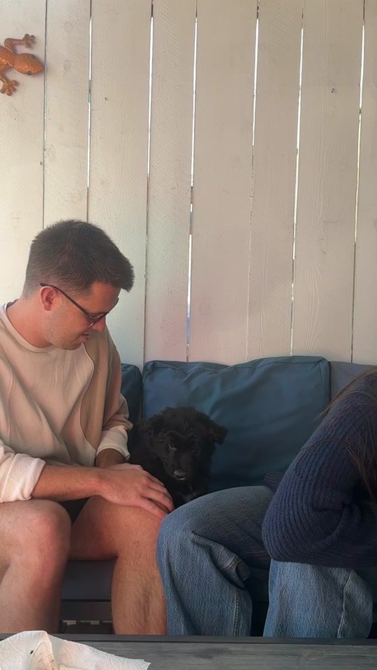 TikTok video thumbnail by _mooselab
