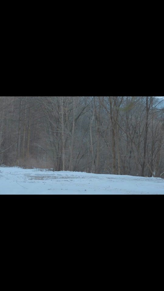 TikTok video thumbnail by campiology