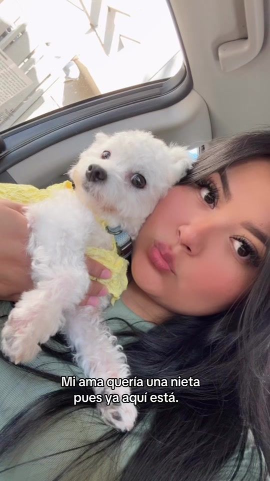 TikTok video thumbnail by ofesm