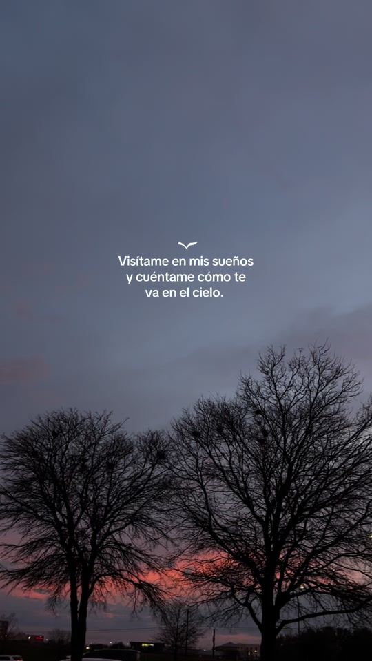 TikTok video thumbnail by arel.lys