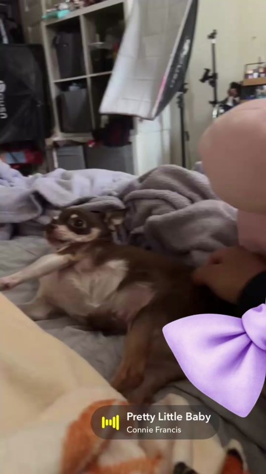 TikTok video thumbnail by stevieryu