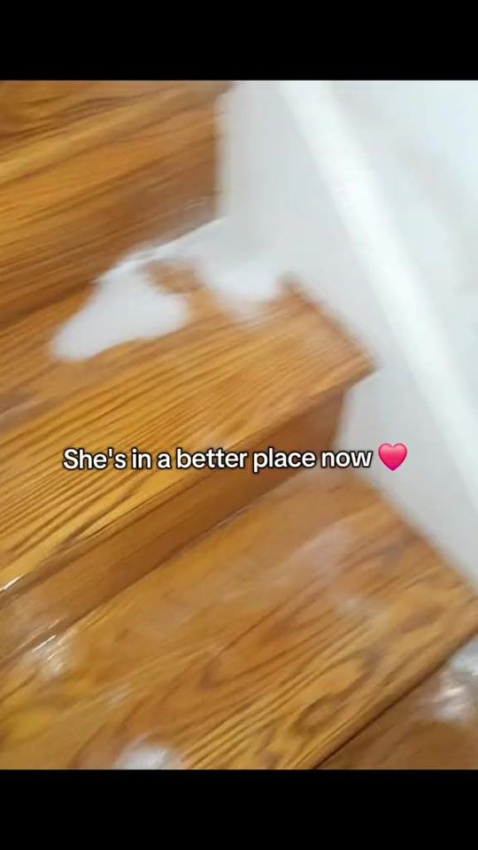 TikTok video thumbnail by jirukvzn