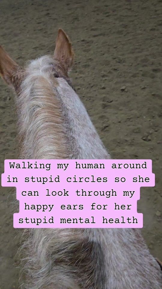 TikTok video thumbnail by kateapaxton