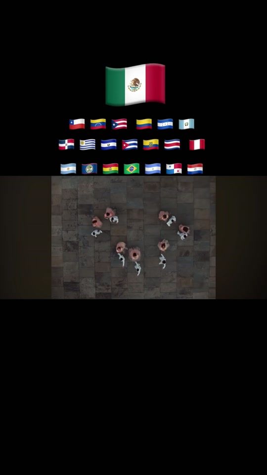 TikTok video thumbnail by yeshica_