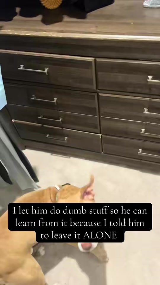 TikTok video thumbnail by theregoeslexx