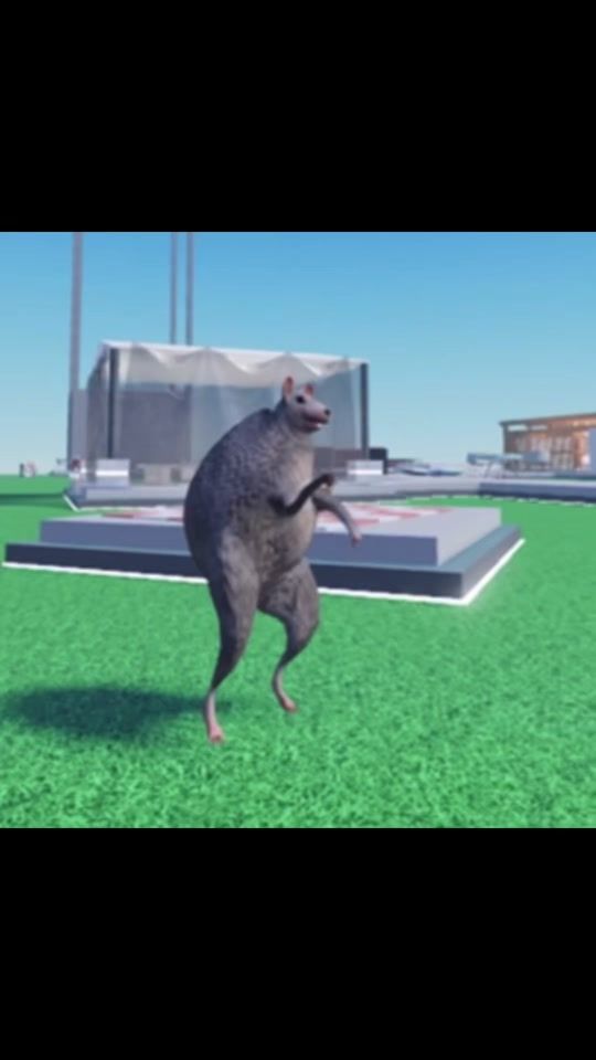 TikTok video thumbnail by quesontco