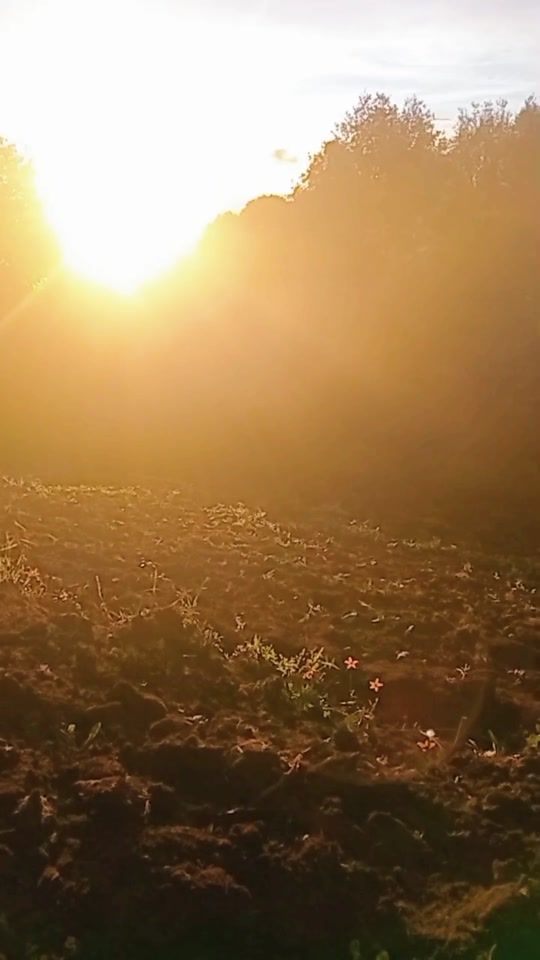 TikTok video thumbnail by alfredoo023