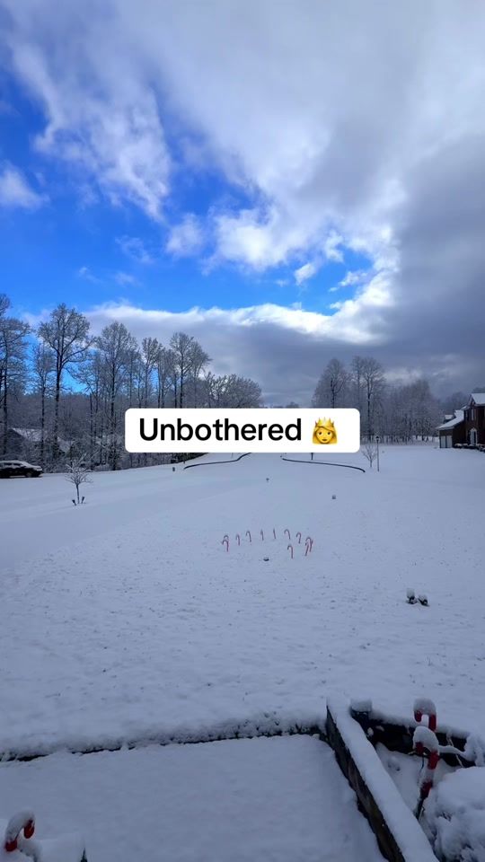 TikTok video thumbnail by docmotema